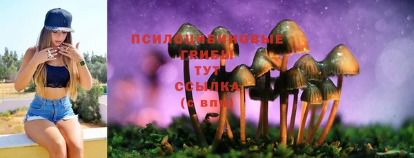 кокаин Арсеньев