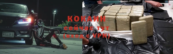 шишки Аркадак