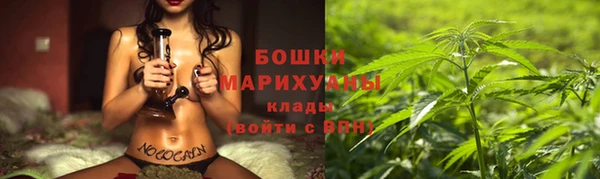 шишки Аркадак