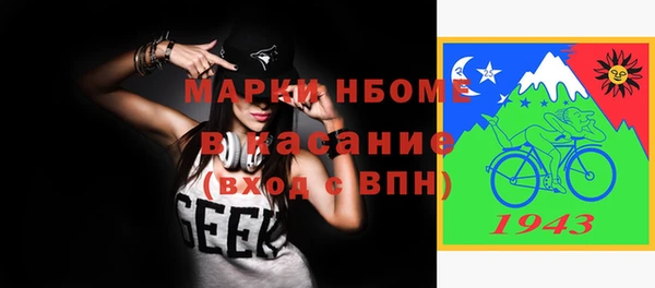 шишки Аркадак