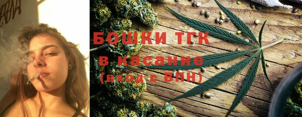 шишки Аркадак