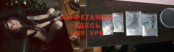 шишки Аркадак